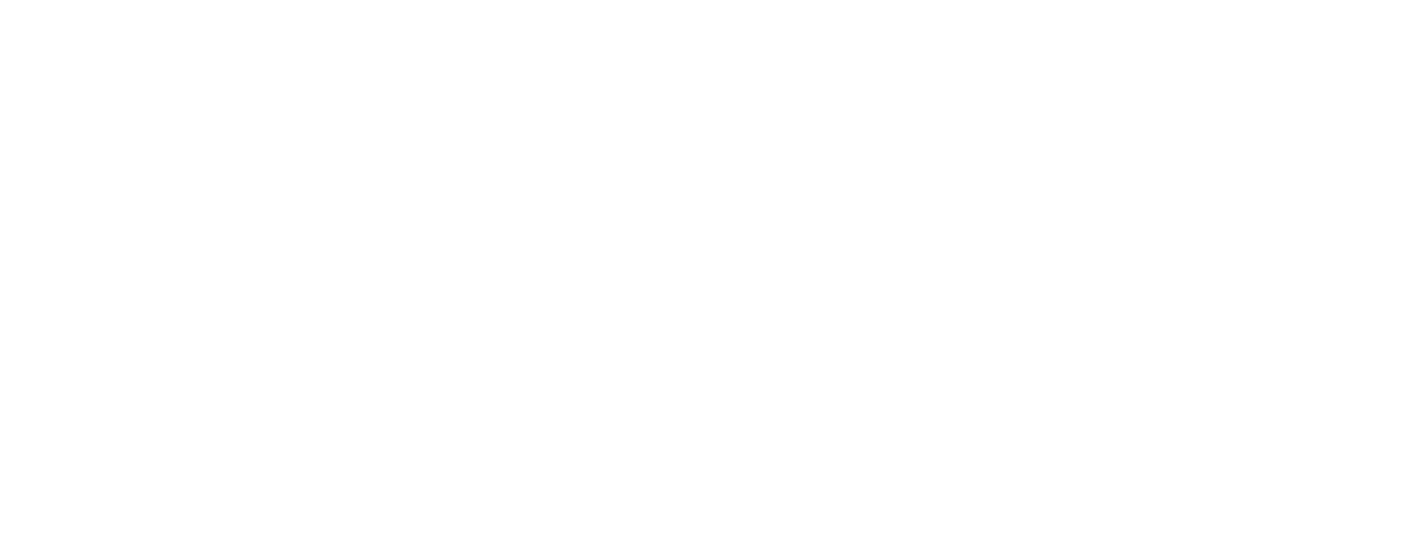 CZ-Nadace_Logo_screen_white-2.png